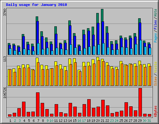 Daily usage for January 2010