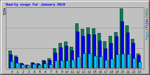 Hourly usage for January 2010