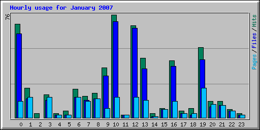 Hourly usage for January 2007