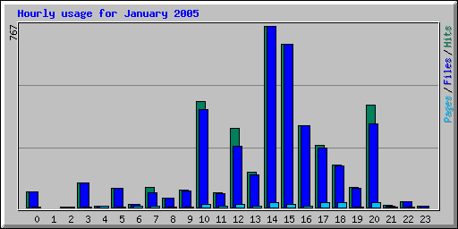 Hourly usage for January 2005