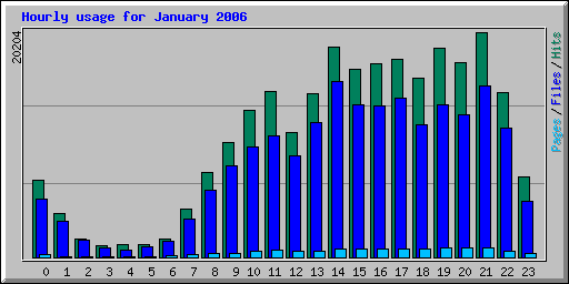 Hourly usage for January 2006