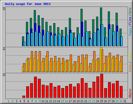 Daily usage for June 2013