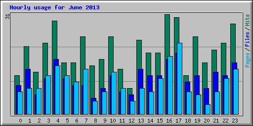 Hourly usage for June 2013