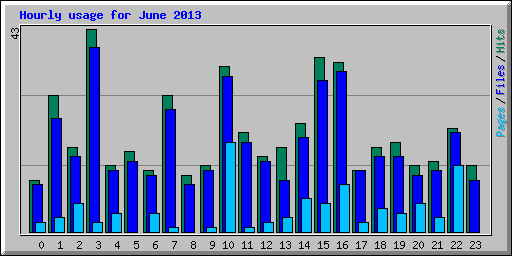 Hourly usage for June 2013