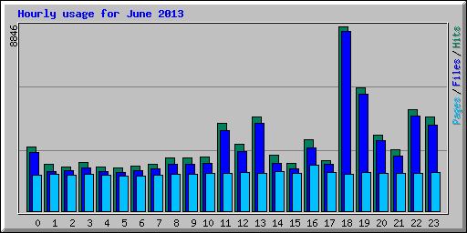 Hourly usage for June 2013