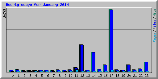 Hourly usage for January 2014