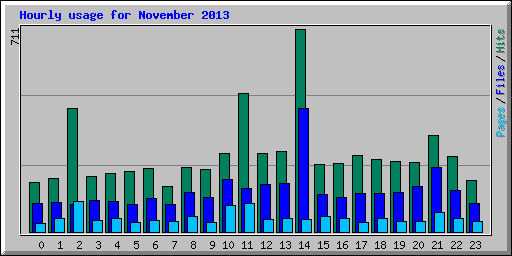 Hourly usage for November 2013