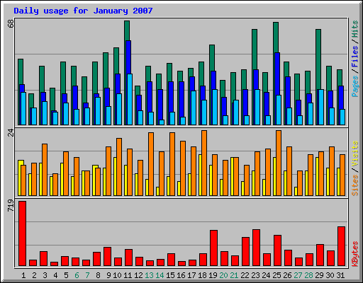 Daily usage for January 2007