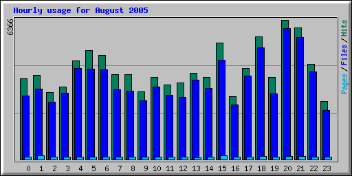 Hourly usage for August 2005